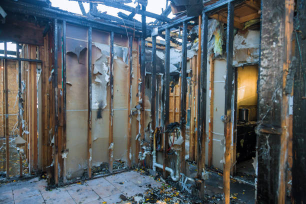 Professional Odor Removal technician working in Earlville, IL